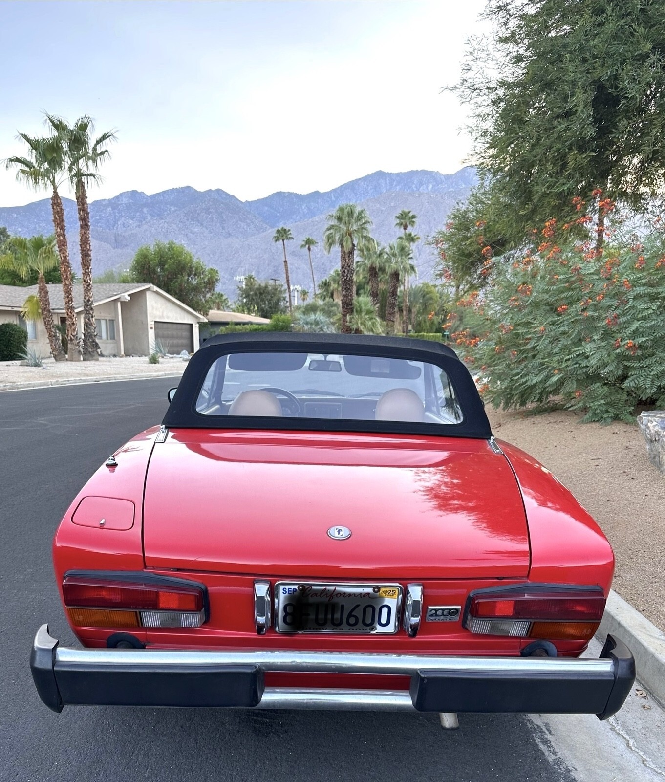 1983 Fiat 124 Spider - photo 5