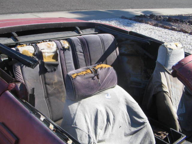 1983 Pontiac Firebird - photo 13