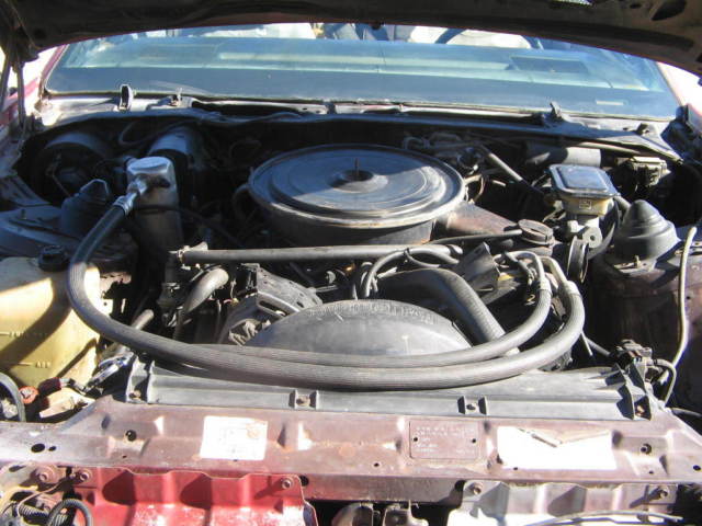1983 Pontiac Firebird - photo 5