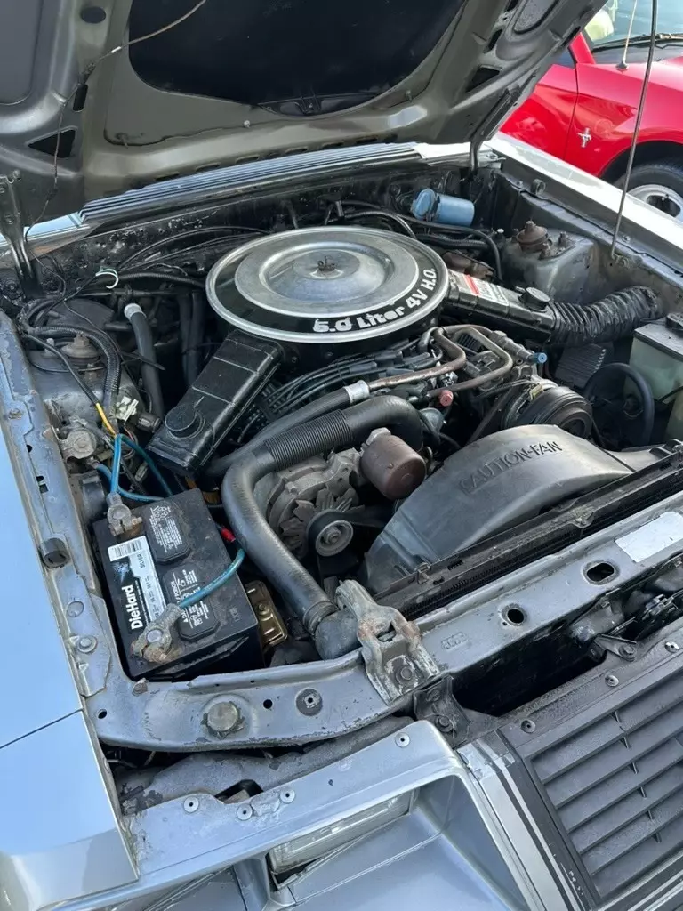 1983 Ford Mustang - photo 13