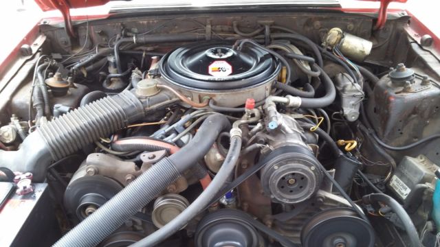 1983 Ford Mustang GLX - photo 6