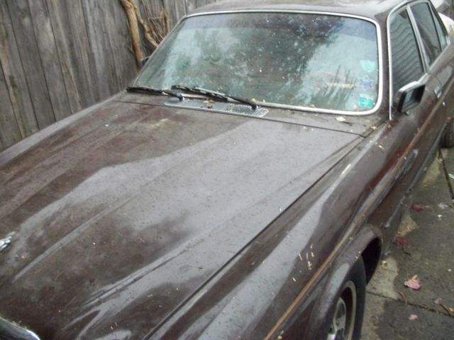1983 Jaguar XJ - photo 11