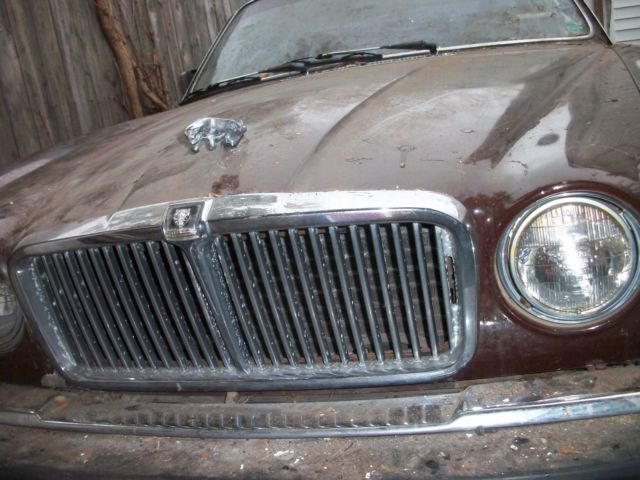 1983 Jaguar XJ - photo 4