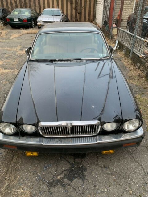 1983 Jaguar XJ6 XJ6 - photo 6