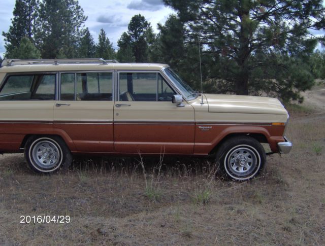 1983 Jeep Wagoneer - photo 9