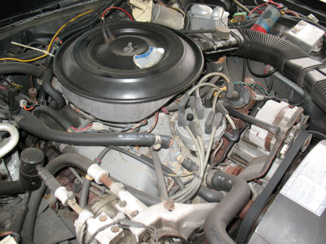 1983 Lincoln Continental Mark VI - photo 4