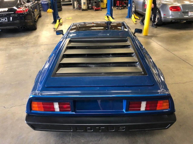 1983 Lotus Esprit Special Edition 22 - photo 11