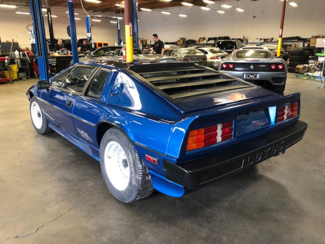 1983 Lotus Esprit Special Edition 22 - photo 12