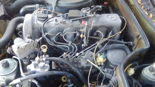 1983 Mercedes-Benz 300-Series Turbo Diesel - photo 5