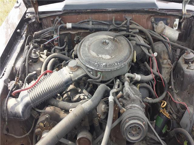 1983 Mercury Other -- - photo 8