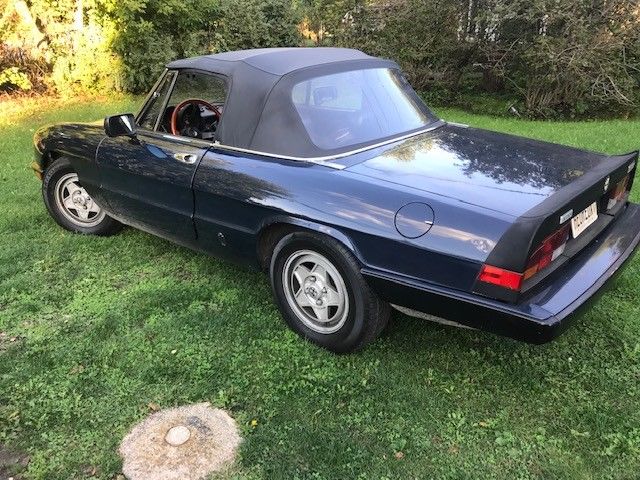 1983 Alfa Romeo Spider - photo 5
