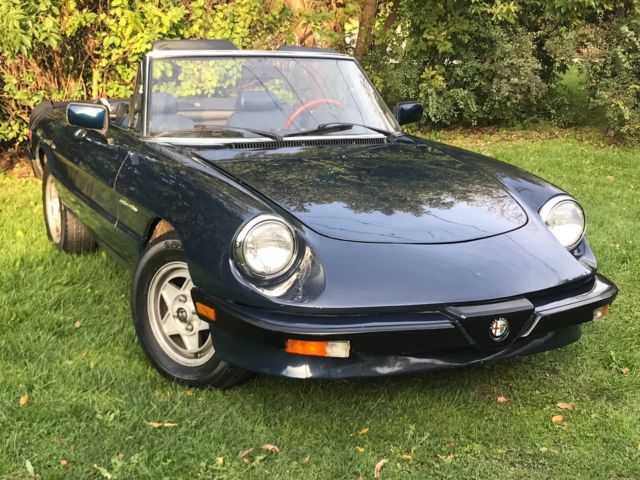 1983 Alfa Romeo Spider - photo 7