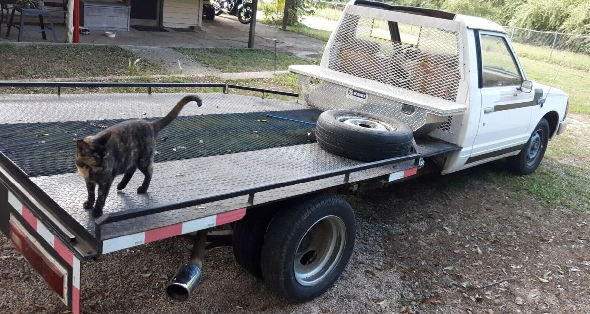 1983 Nissan 720 CAB CHASSIS - photo 7
