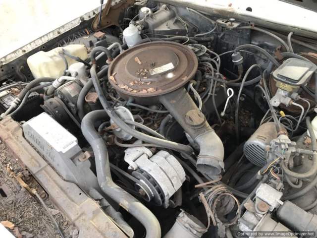 1983 Oldsmobile Toronado - photo 6
