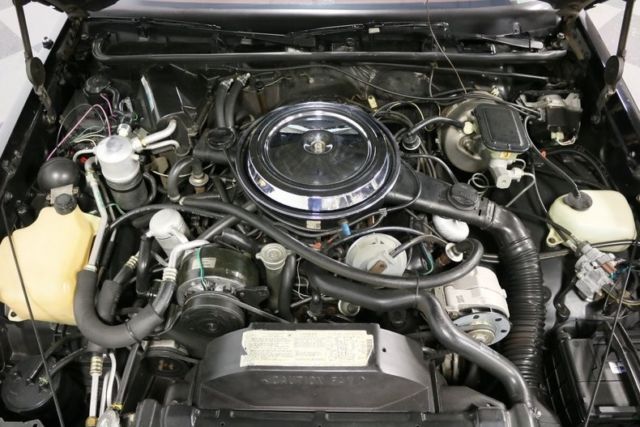 1983 Oldsmobile Cutlass Hurst 15th Anniversary - photo 4