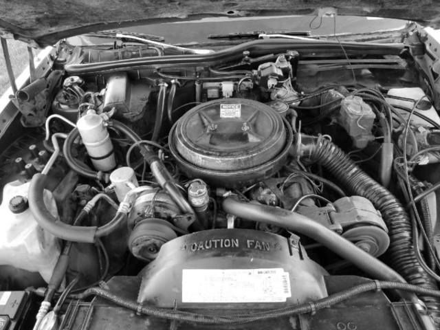 1983 Oldsmobile Eighty-Eight - photo 10