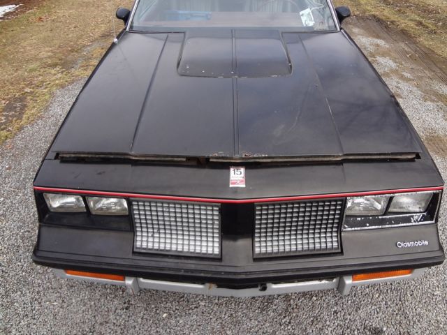 1983 Oldsmobile Cutlass Hurst Coupe, Orig. Anniversary Edition - photo 8