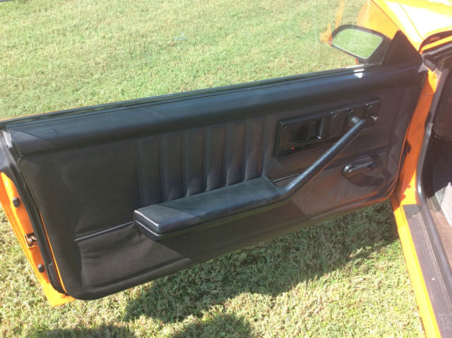 1983 Pontiac Trans Am - photo 10