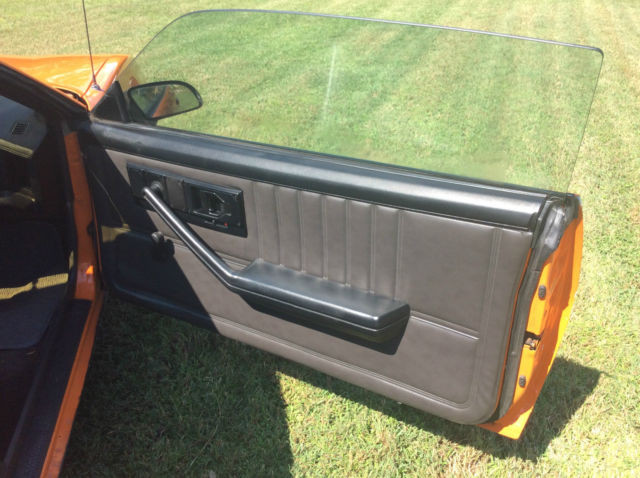 1983 Pontiac Trans Am - photo 11
