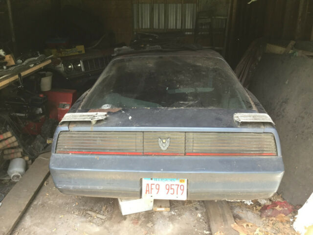 1983 Pontiac Trans Am - photo 4