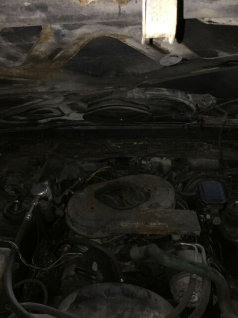 1983 Pontiac Trans Am - photo 8