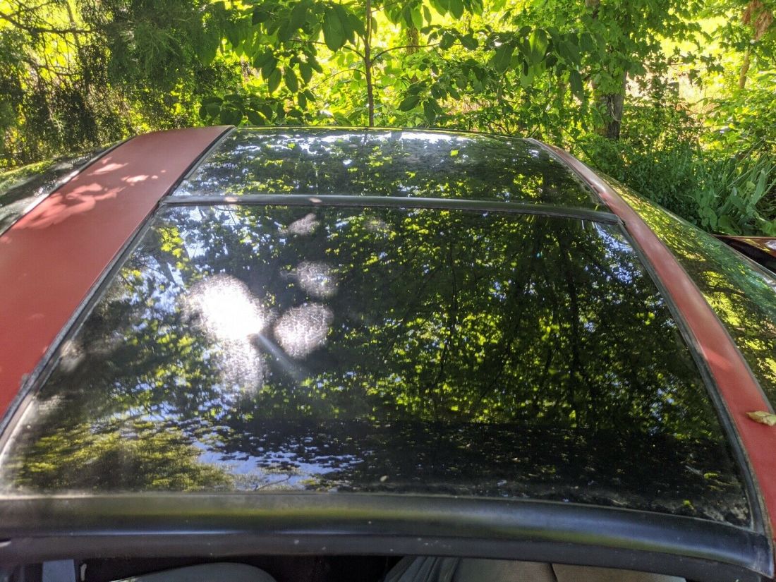 1983 Pontiac Firebird TRANS AM - photo 11