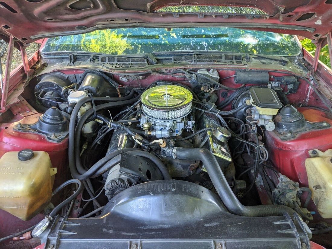 1983 Pontiac Firebird TRANS AM - photo 12