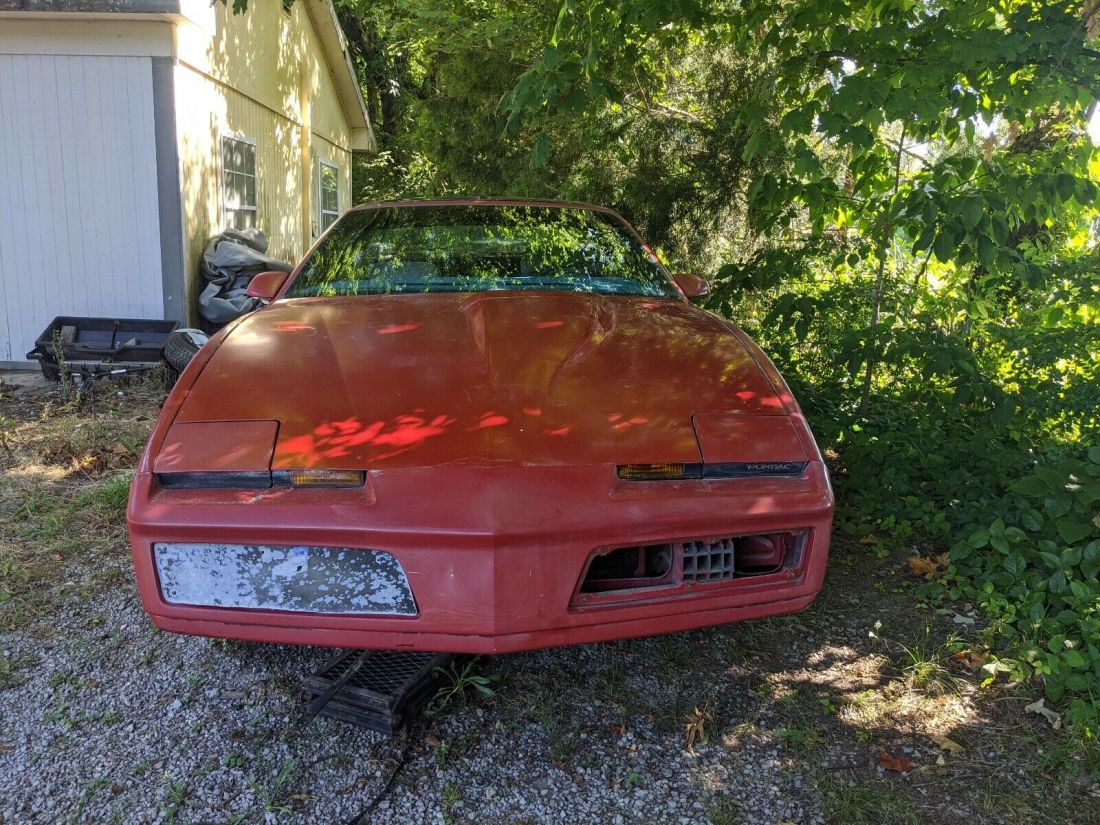 1983 Pontiac Firebird TRANS AM - photo 3