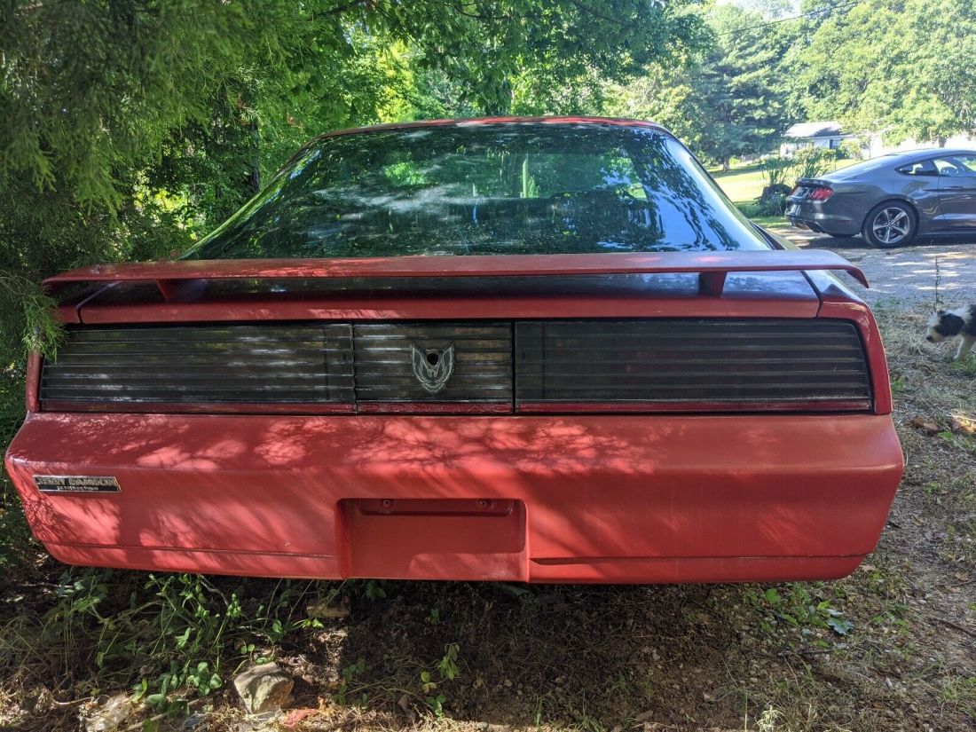 1983 Pontiac Firebird TRANS AM - photo 4