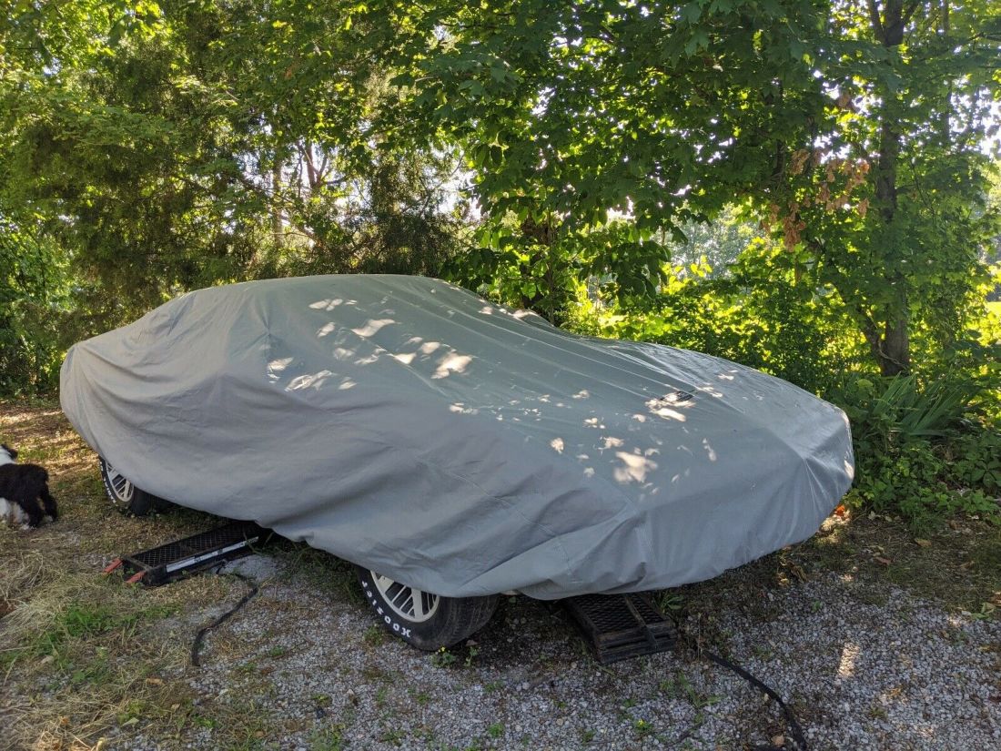 1983 Pontiac Firebird TRANS AM - photo 6