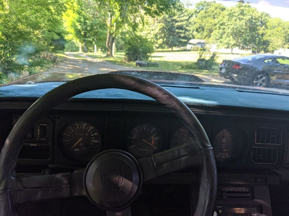 1983 Pontiac Firebird TRANS AM - photo 9
