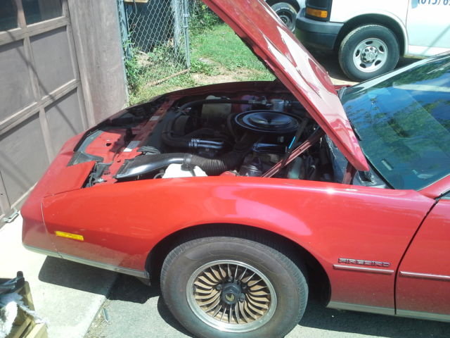 1983 Pontiac Firebird Se - photo 10