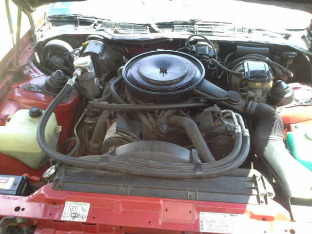 1983 Pontiac Firebird Se - photo 11
