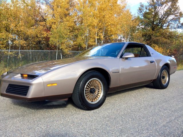 1983 Pontiac Firebird S/E - Original One Owner - Rarer than Trans Am 1983 Pontiac Firebird S/E