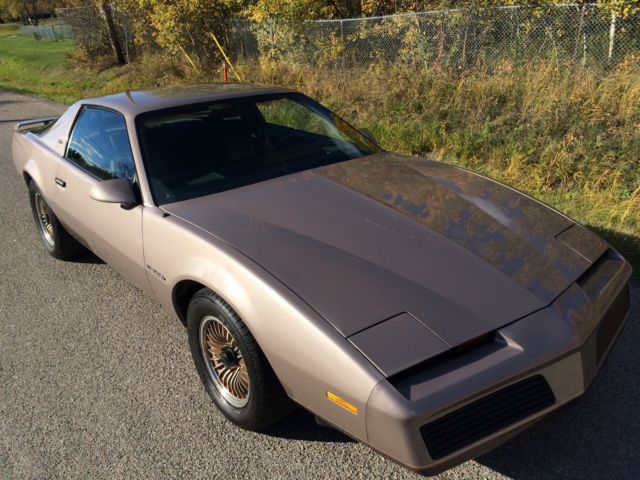 1983 Pontiac Firebird S/E - photo 10
