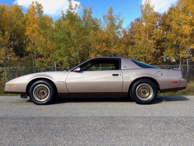 1983 Pontiac Firebird S/E - photo 2