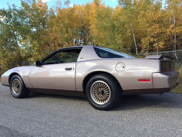 1983 Pontiac Firebird S/E - photo 3