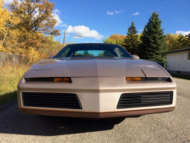 1983 Pontiac Firebird S/E - photo 4