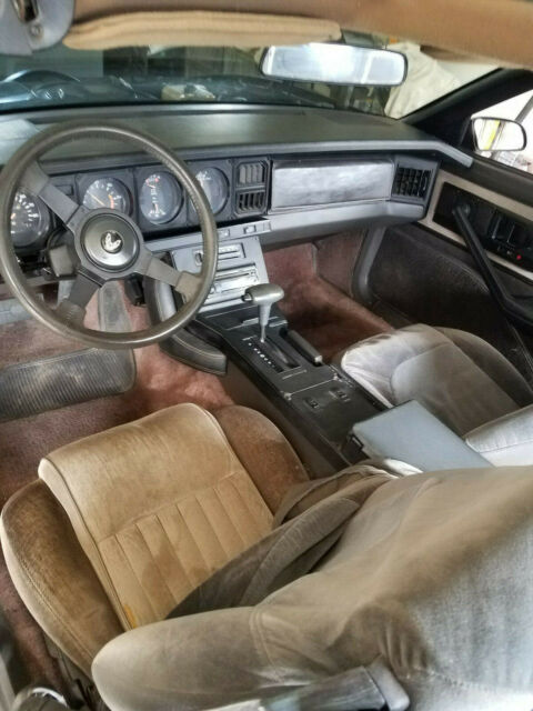 1983 Pontiac Firebird Special Edition - photo 10
