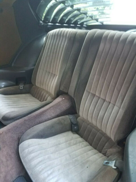 1983 Pontiac Firebird Special Edition - photo 11