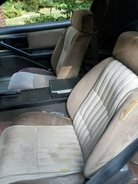 1983 Pontiac Firebird Special Edition - photo 12