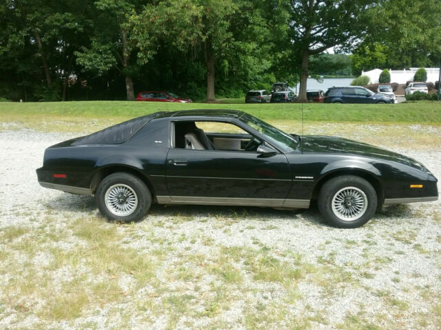 1983 Pontiac Firebird Special Edition - photo 2