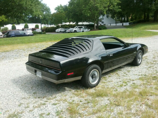 1983 Pontiac Firebird Special Edition - photo 3