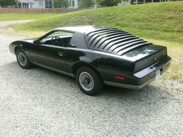 1983 Pontiac Firebird Special Edition - photo 5
