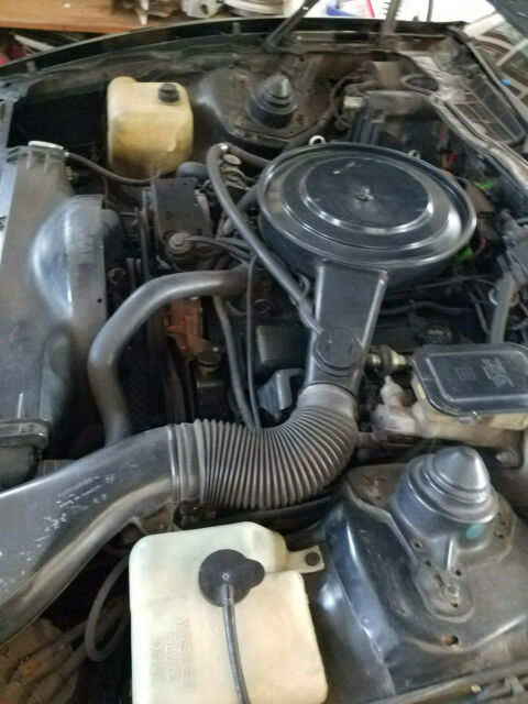 1983 Pontiac Firebird Special Edition - photo 9