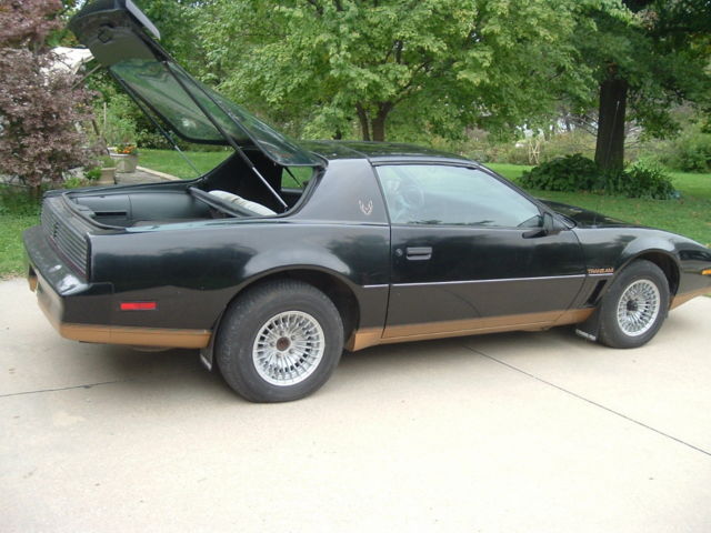 1983 Pontiac Firebird Hatchback - photo 10