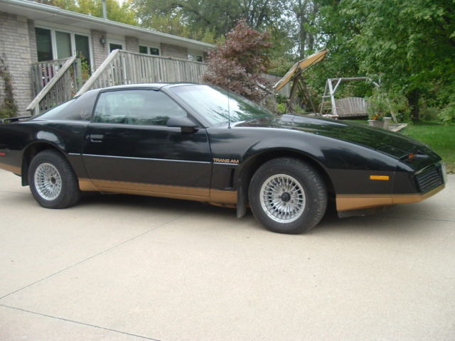 1983 Pontiac Firebird Hatchback - photo 8