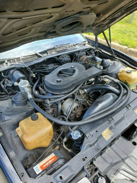 1983 Pontiac Trans Am T TOPS - photo 12