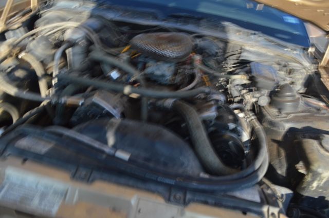 1983 Pontiac Trans Am - photo 8