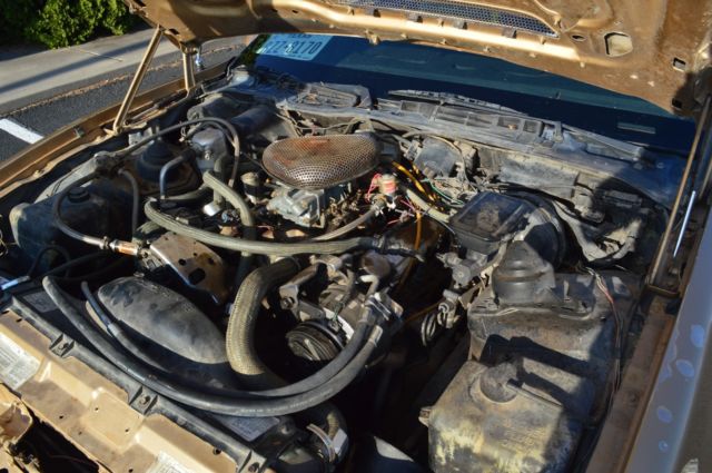 1983 Pontiac Trans Am - photo 9